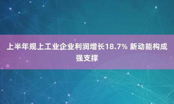 上半年规上工业企业利润增长18.7% 新动能构成强支撑
